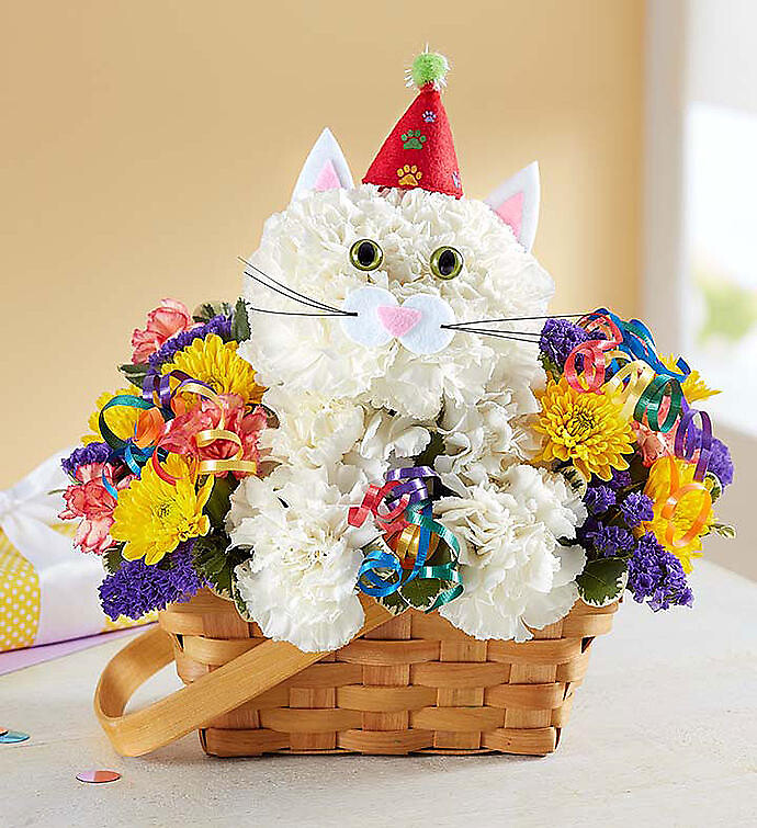 Purrfect Party Cat™ arranged by a florist in Burr Ridge, IL : Bud’s Flowers