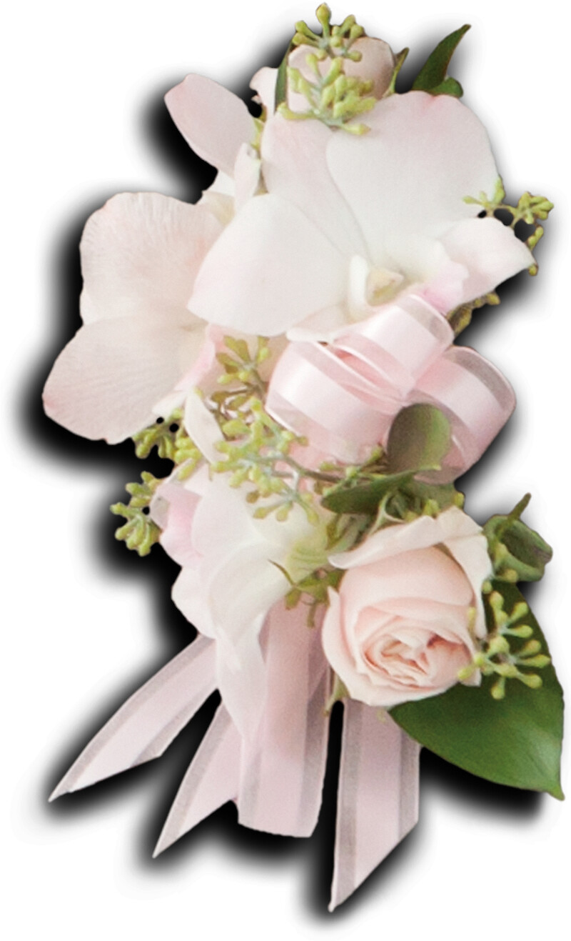 Beautiful Blush Corsage arranged by a florist in Burr Ridge, IL : Bud's ...